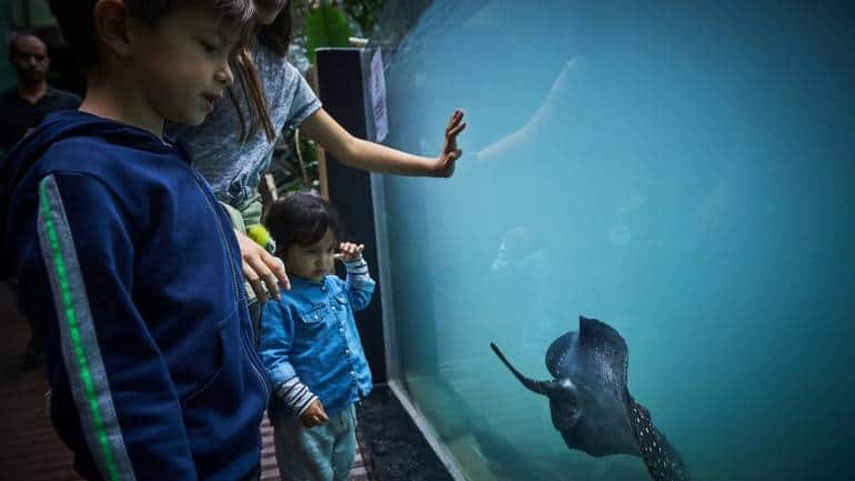 AQUATIS Aquarium-Vivarium. (Photo: Switzerland Tourism)