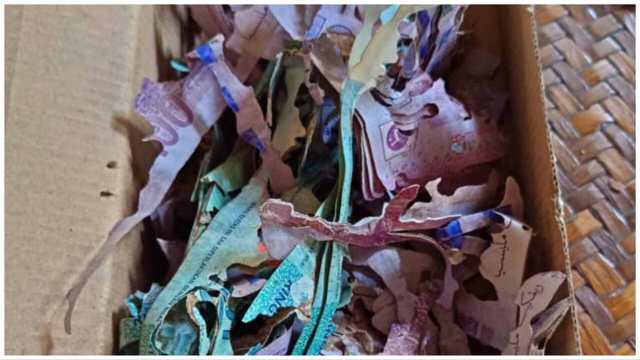 Elderly woman saved lakhs in box for Mecca pilgrimage. Termites destroyed the money
