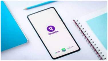 IPO-bound PhonePe's FY25 revenue rises 40%, adjusted PAT up 220%