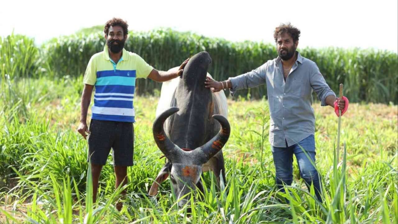 Bengaluru banker turns organic farmer, gets turnover of Rs 21 crore: Reports