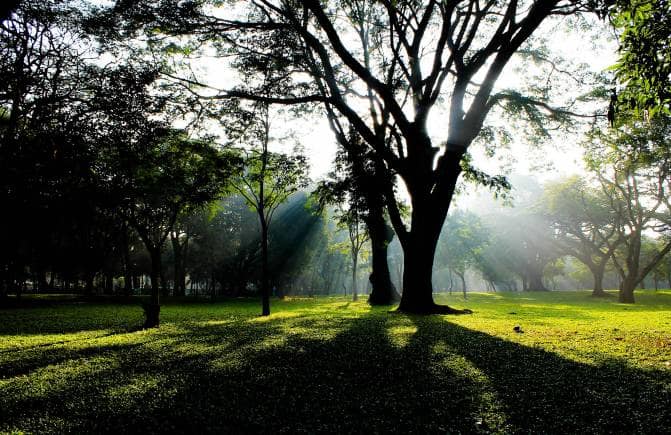 Cubbon Park, Bangalore, Karnataka. (Photo: Wikimedia Commons)
