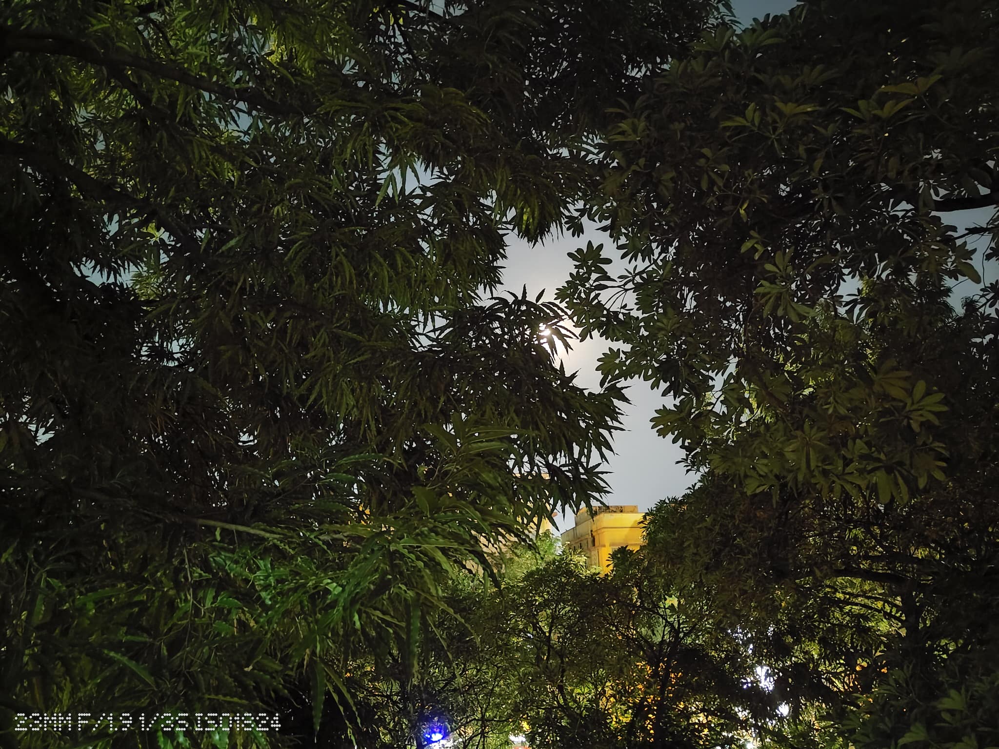 Picture taken at night on Nothing Phone (2)