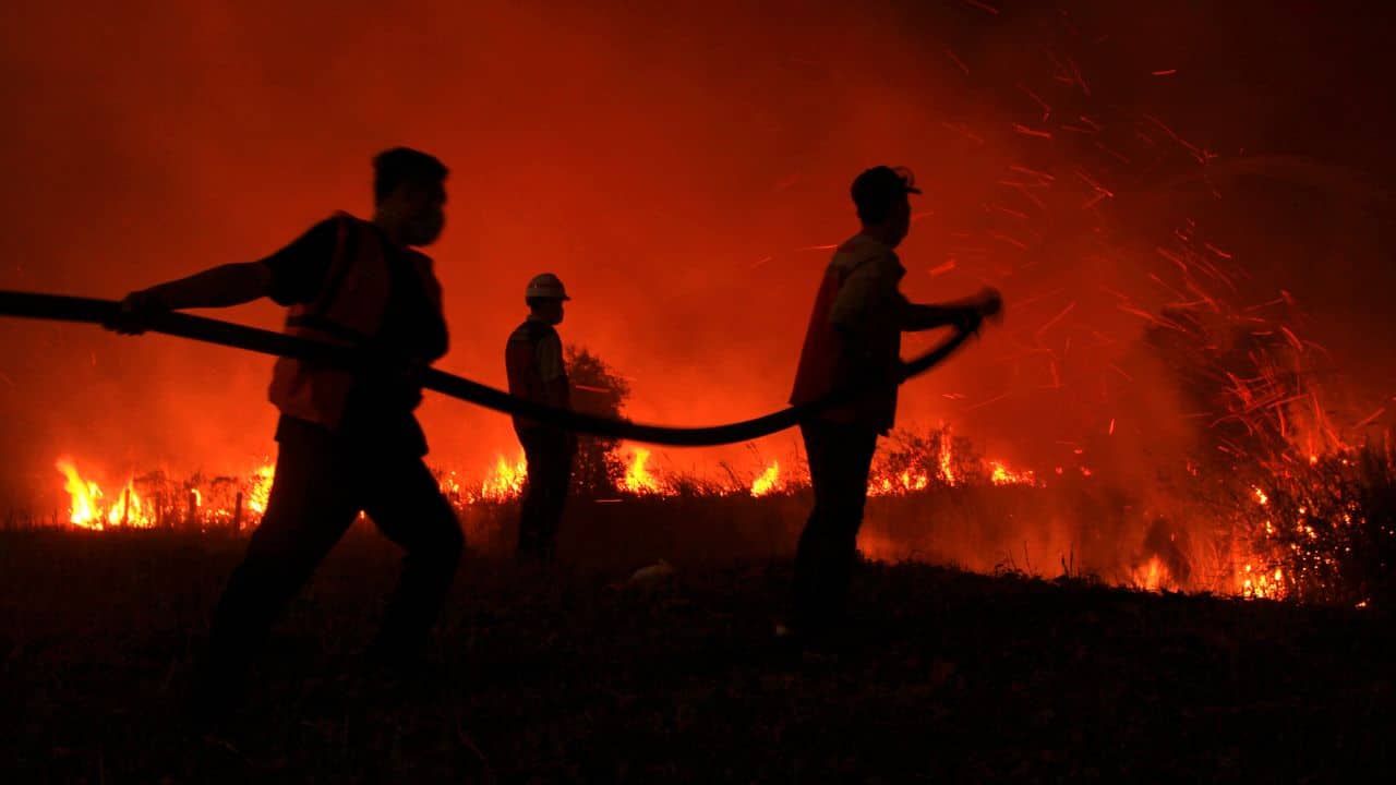 Forest and land fires in Indonesia are an annual occurrence that has strained relations with neighbouring nations since the smoke from the fires can cover sections of Singapore, Malaysia, and southern Thailand in a cloud of thick poisonous smog. (Image: AP)