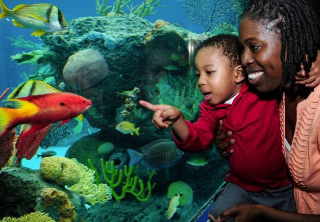 New York Aquarium, the US. (Photo: New York City Tourism)