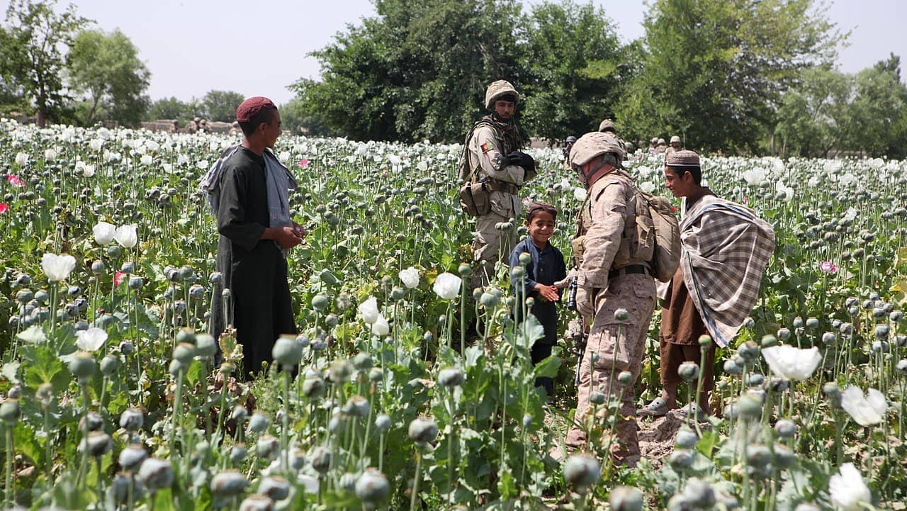Pakistan’s deep state is at the centre of The Bomb, the Bank, the Mullah and the Poppies: A review