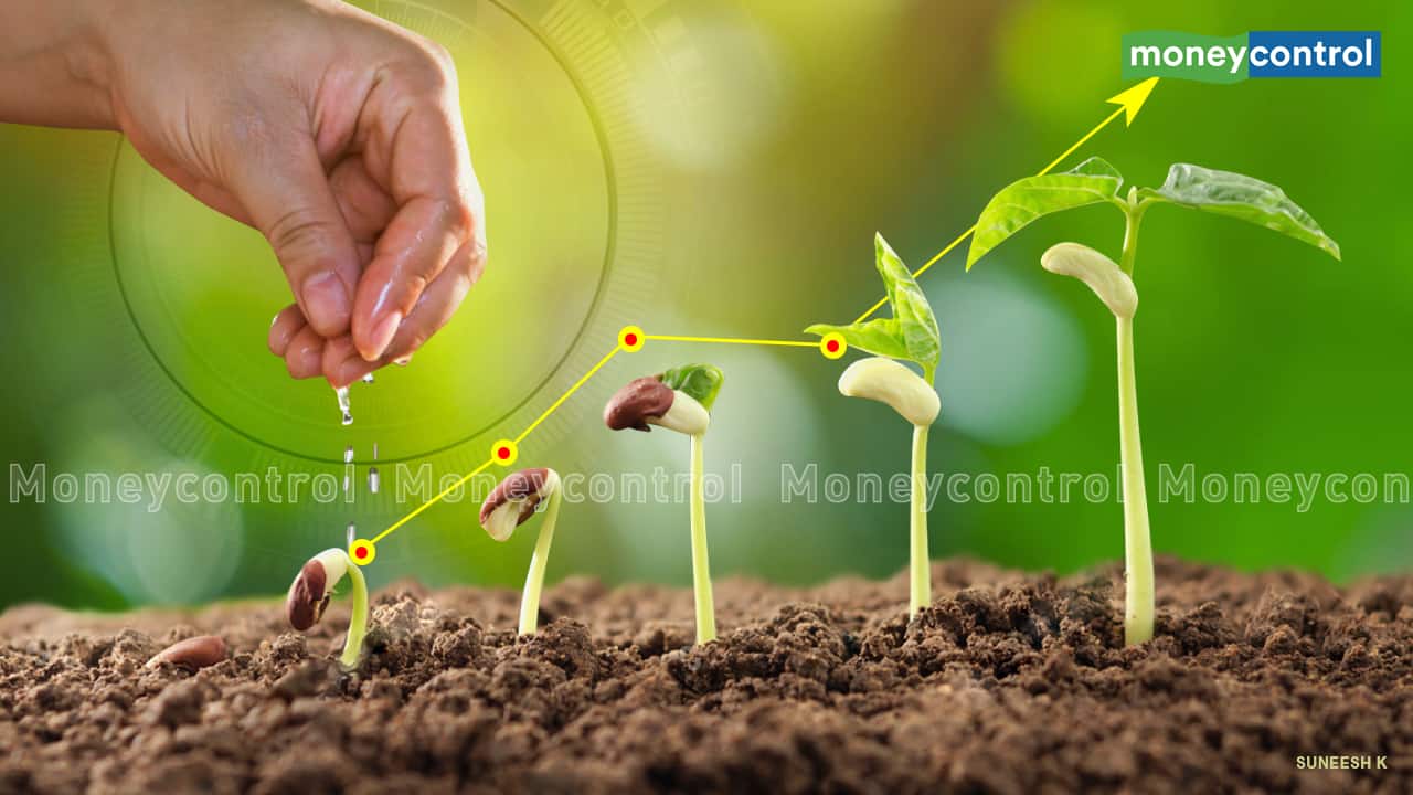 Mutual funds must disclose 'risk adjusted returns'. Why RAR is better than CAGR and how will it help investors