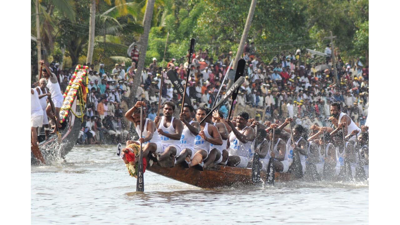 Kerala's iconic backwaters snake-boat race represents unity of local  communities