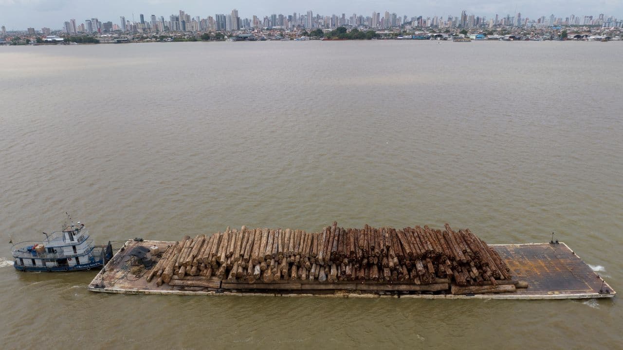 Other environmental risks include big hydroelectric dams, particularly in Brazil; illegal logging; mining; and oil drilling, which can pollute water and disrupt Indigenous livelihoods. Due to a lack of infrastructural investment, much of the sewage from dwellings in the jungle is discharged straight into waterways. (Image: AP)