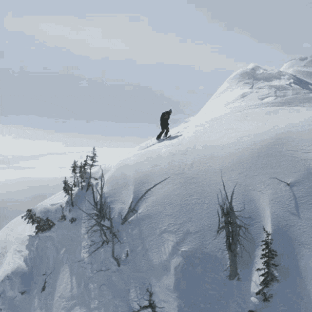 Bharat startups brave funding winter