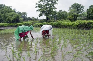 Farmers’ protests: What do the economic data say?