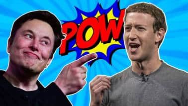 Musk-Zuckerberg MMA fight revives Forrest Griffin and Stephan Bonnar memories