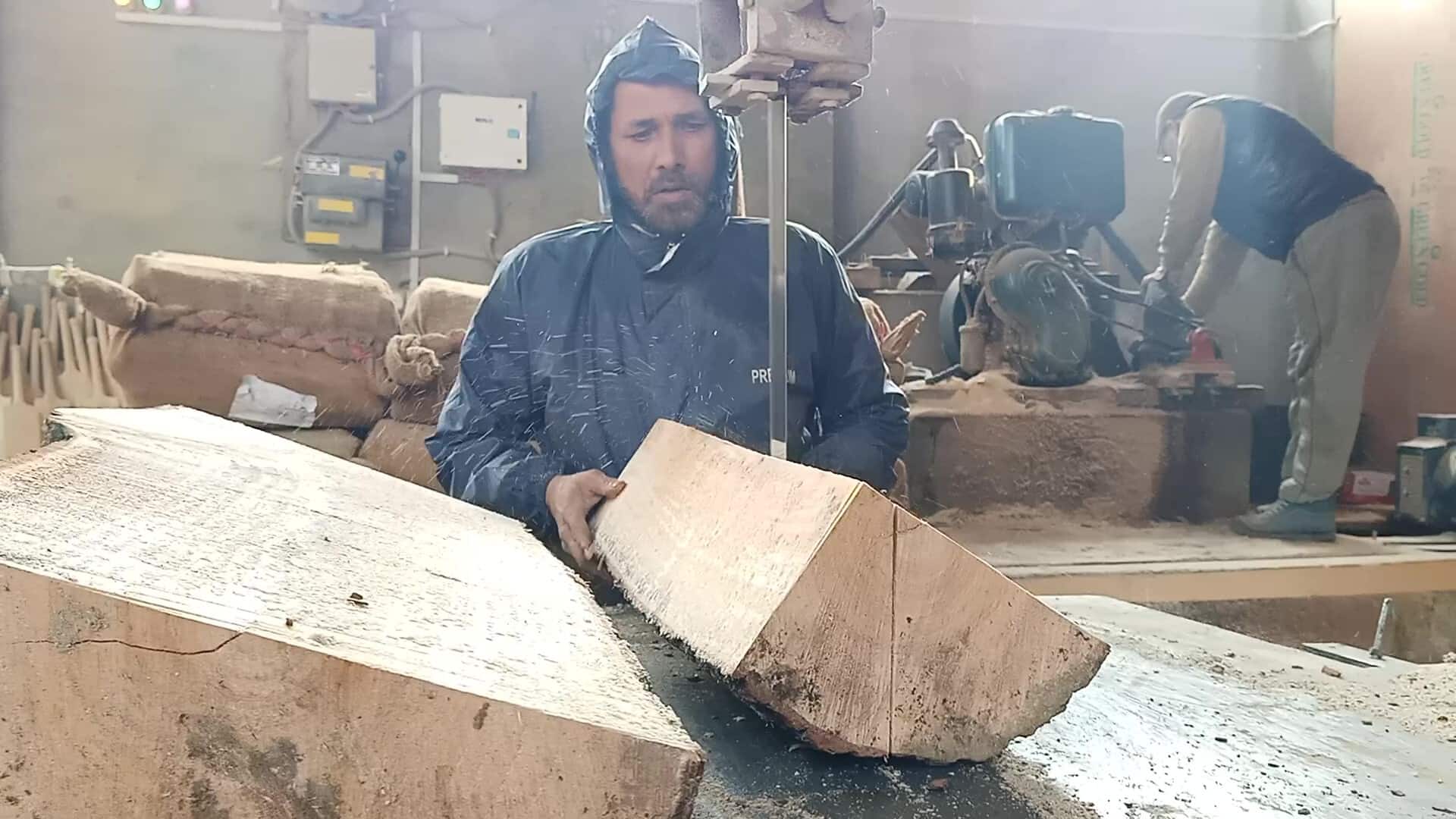 Of late, the demand for Kashmir willow bats has surged in the global markets. 