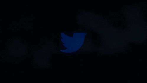 Elon Musk's X challenges India's blocking orders