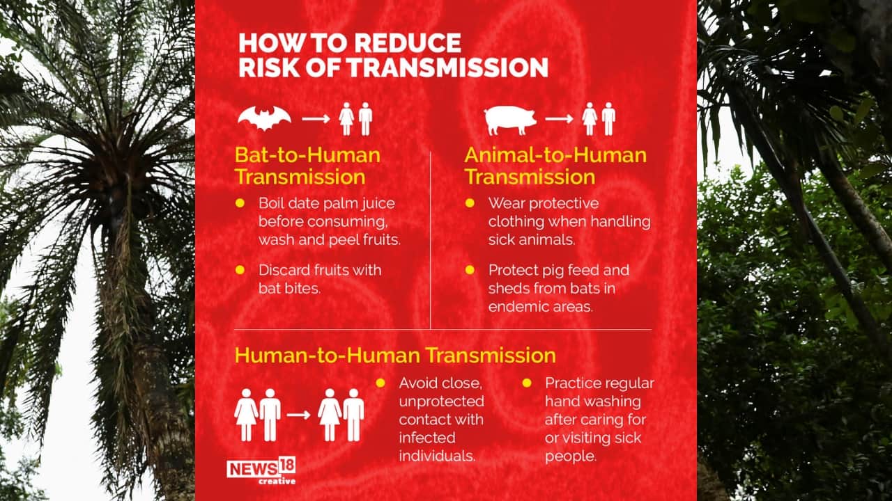 To reduce risk of transmission, wear protective clothing when handling sick animals, avoid unprotected contact with infected individuals and practice regular hand washing after caring for or visiting sick people. (Image: News18 Creative)