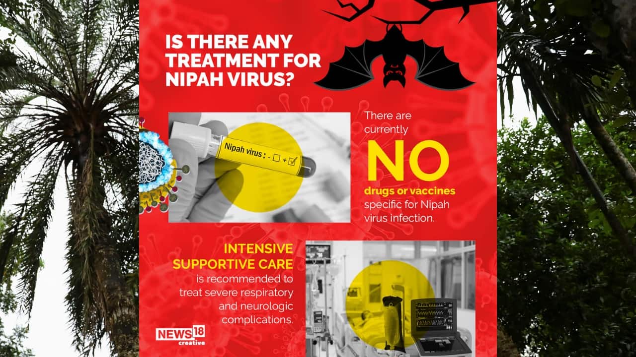 Intensive supportive care is recommended to treat severe respiratory and neurologic complications. (Image: News18 Creative)