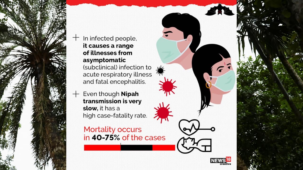 Nipah Virus Outbreak In Kerala: All You Need To Know