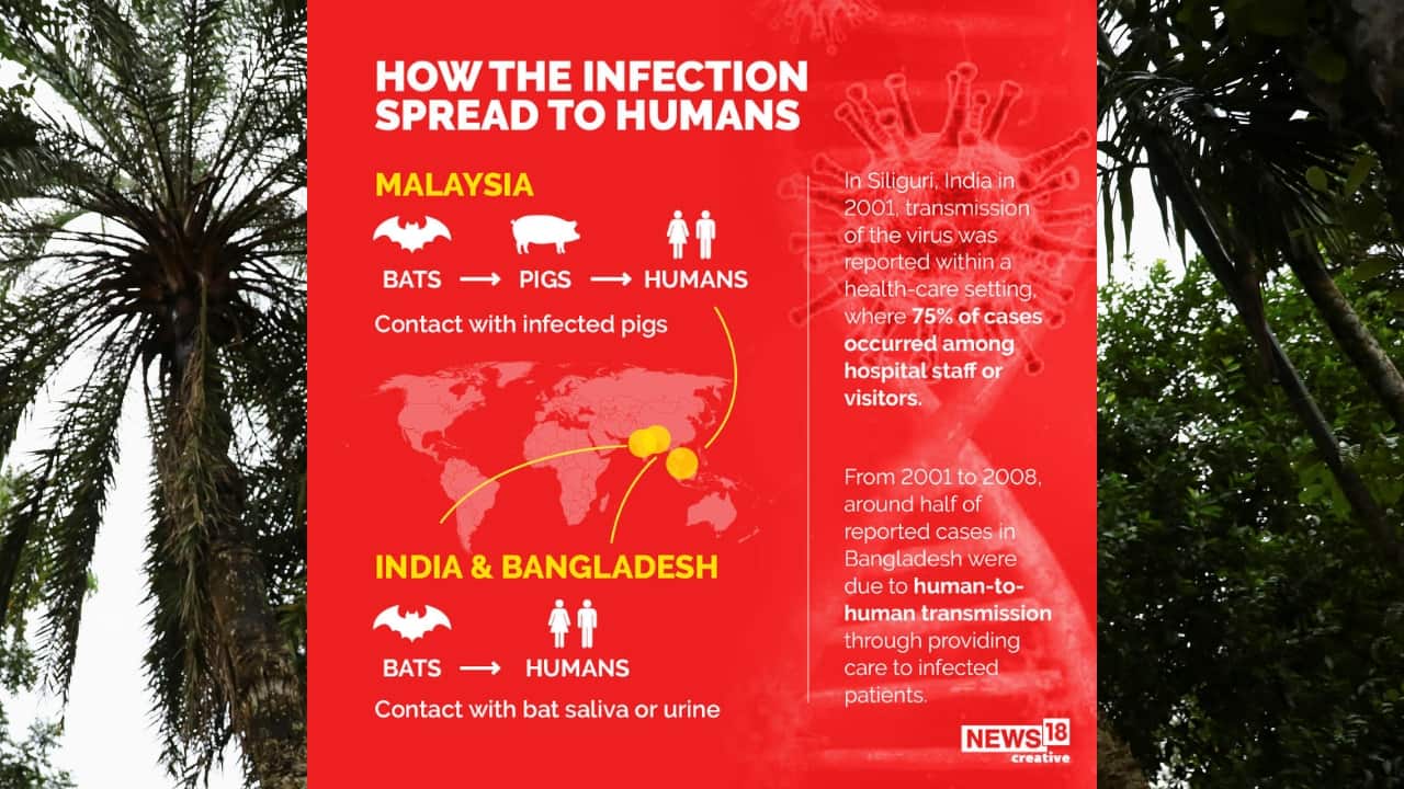 From 2001 to 2008, around half of reported cases in Bangladesh were due to human-to-human transmission through providing care to infected patients. (Image: News18 Creative)