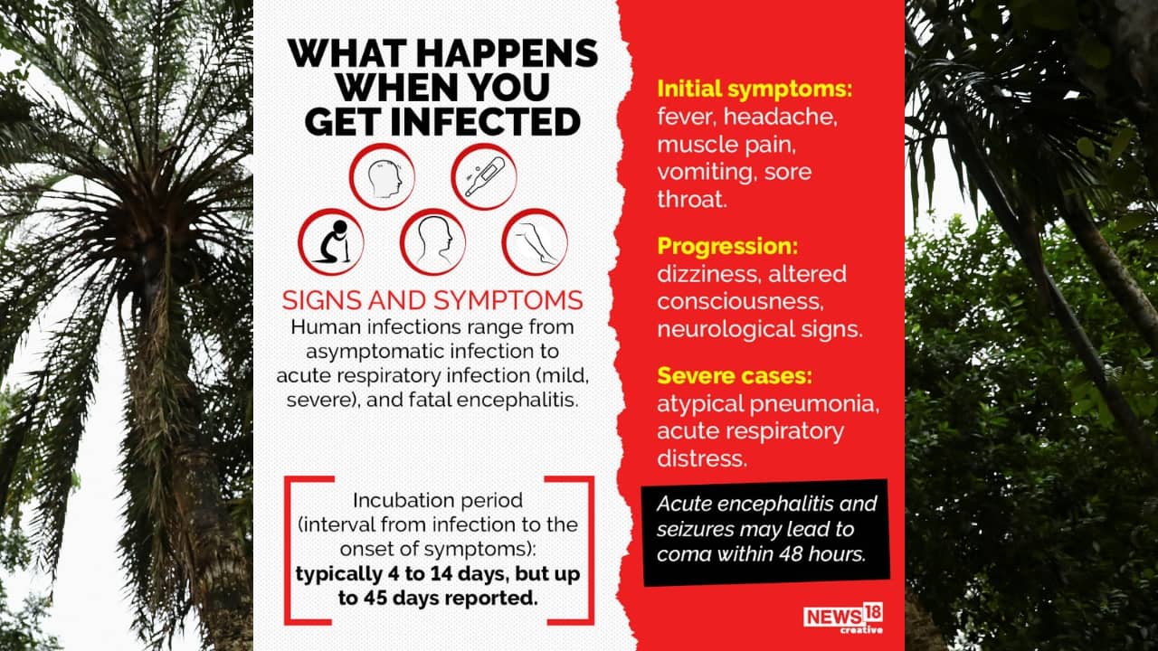 Human infections range from asymptomatic infection to acute respiratory infection (mild, severe), and fatal encephalitis. (Image: News18 Creative)