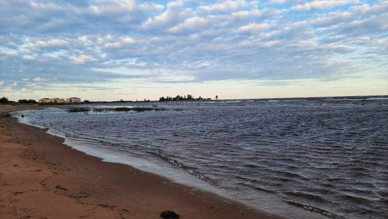 A glimpse of the sea along the Pohjola route. (Photo: Anita Rao Kashi)