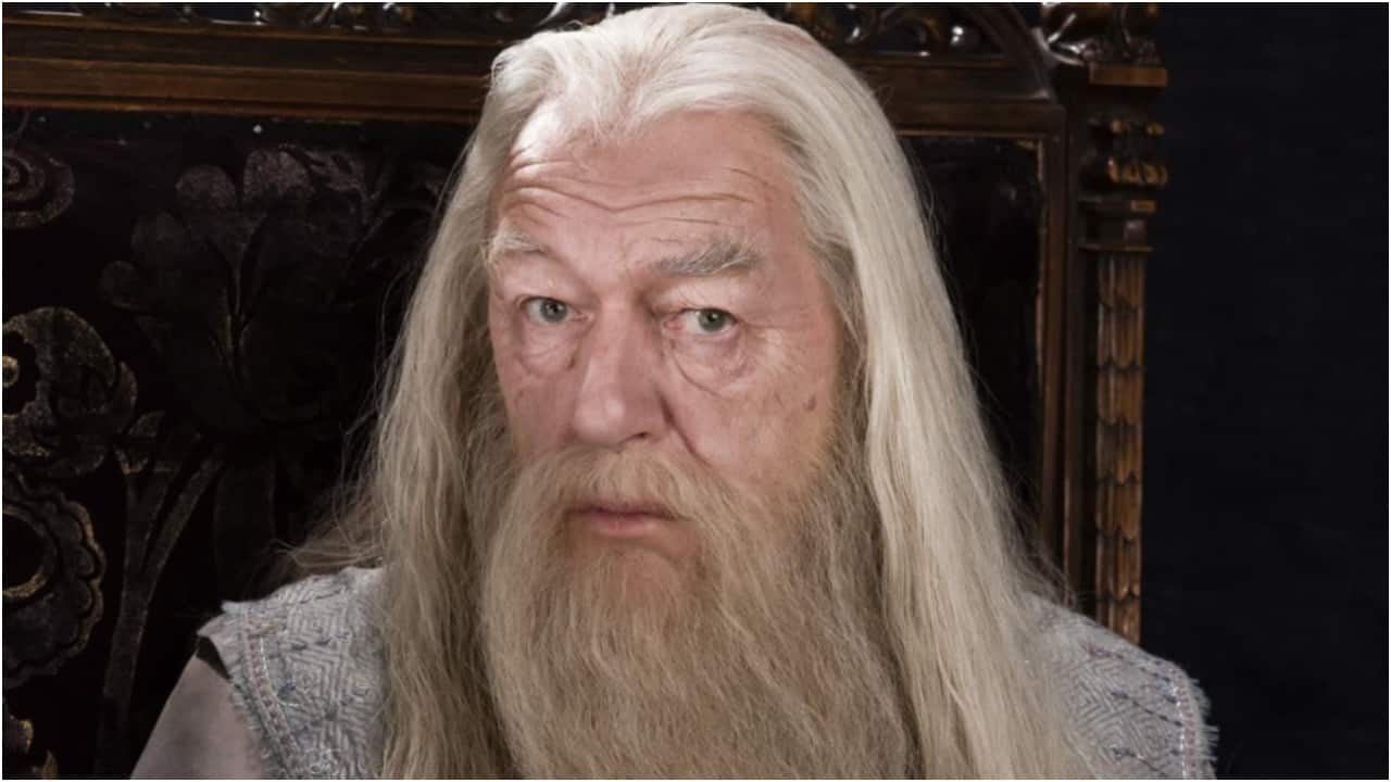 Micheal Gambon was born on October 19, 1940 in Dublin, Ireland. (Image: X)
