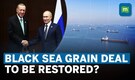 Black sea grain deal: Turkey’s Erdogan meets Russia’s Putin to discuss restoring crucial grain deal