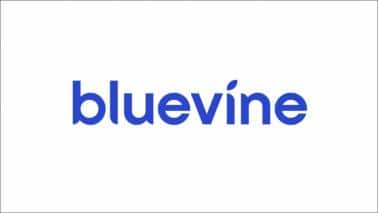 Bluevine-logo