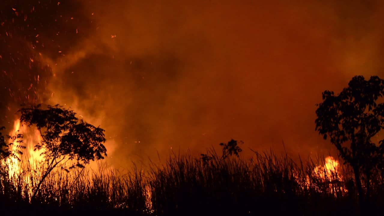 Business, government joining hands to tackle climate change a force for good