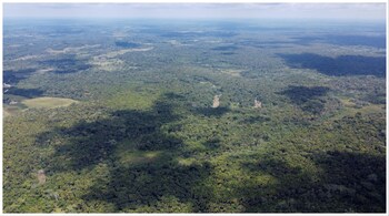 Amazon jungle Colombia AFP