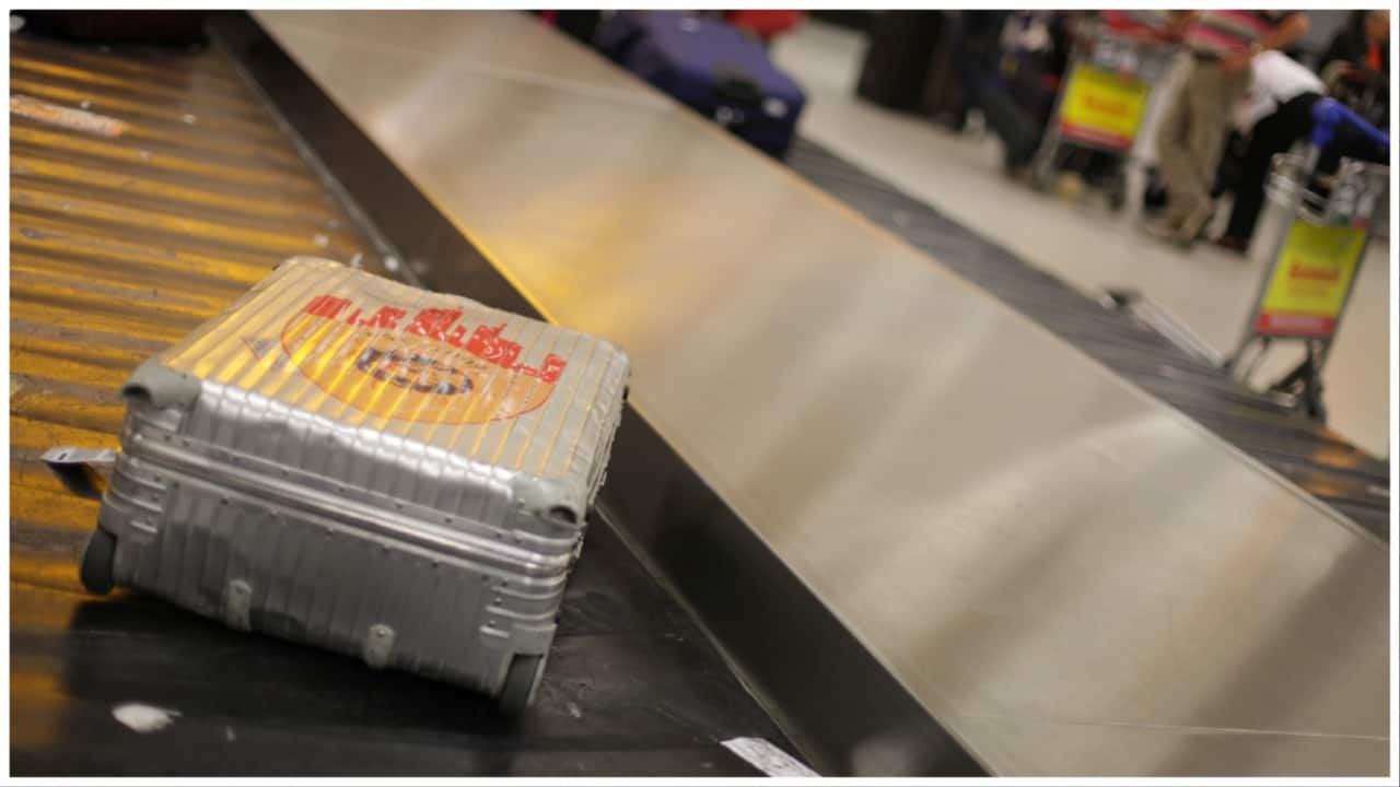 Should investors look at luggage stocks to ride travel and wedding tailwinds? Should investors look at luggage stocks to ride travel and wedding tailwinds?