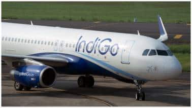 Chart of the Day: Indigo hits a speed bump in October