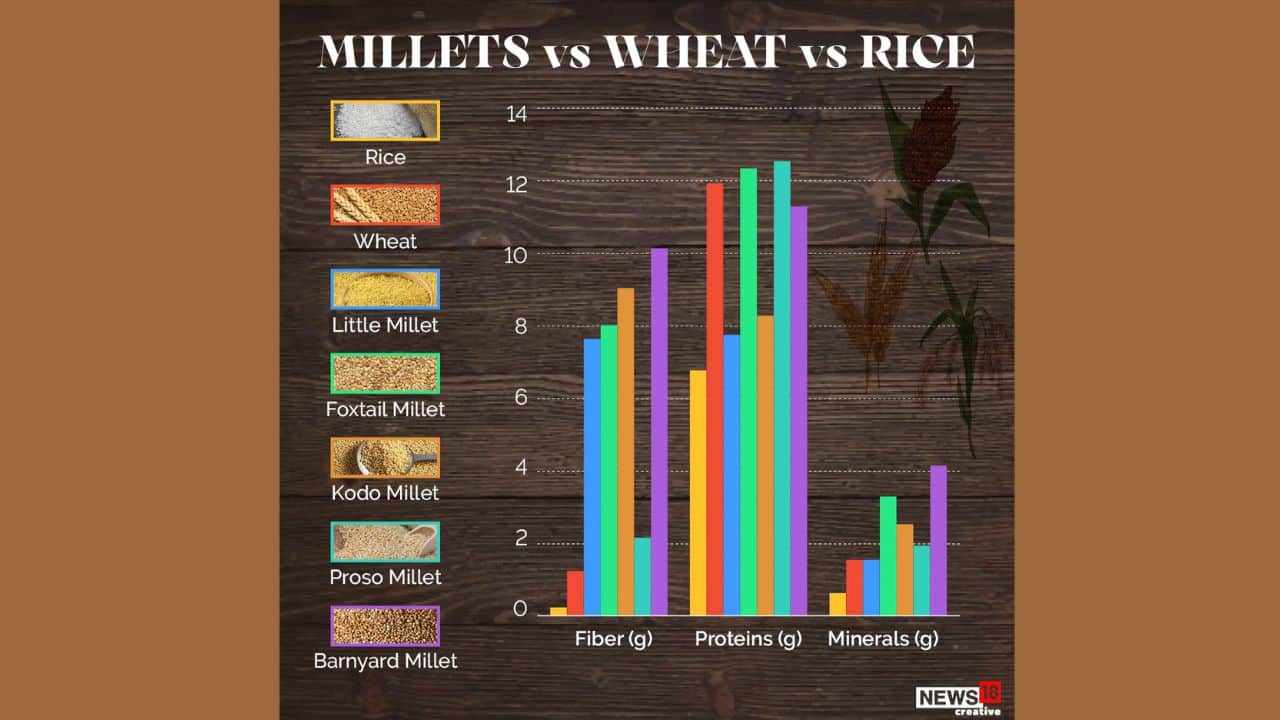 Barnyard millet has high content on fibre and minerals, while foxtail millet has highest content of proteins (Image: News18)