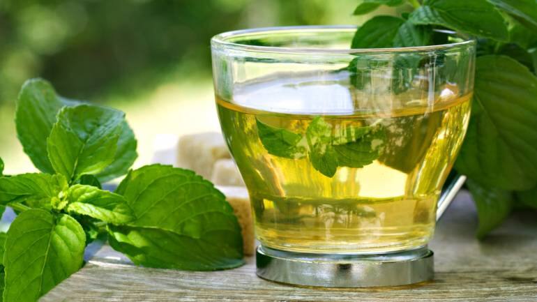 Health benefits of mint tea (Image: Canva)
