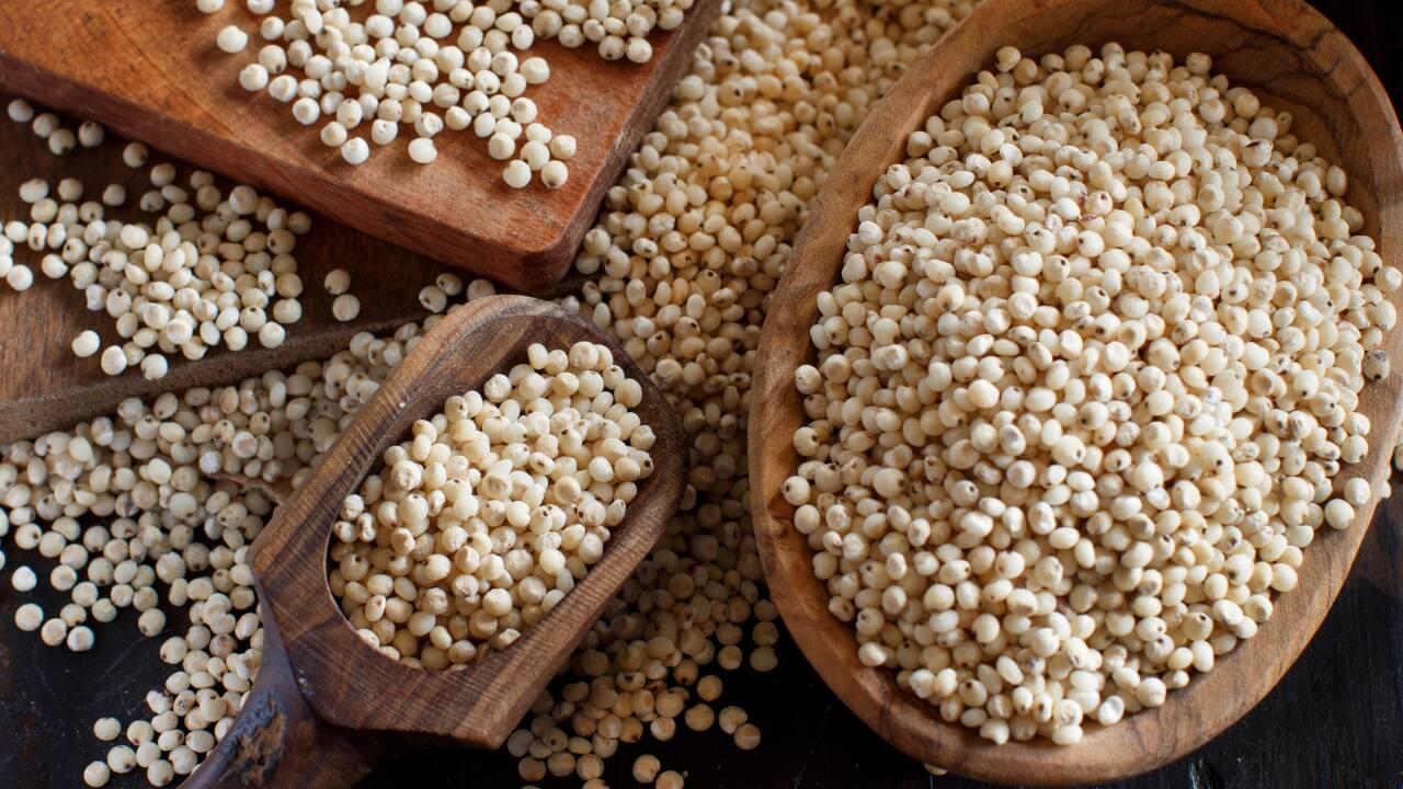 Sorghum bran, or jowar, Vs whole grains: Who wins this nutritional showdown?