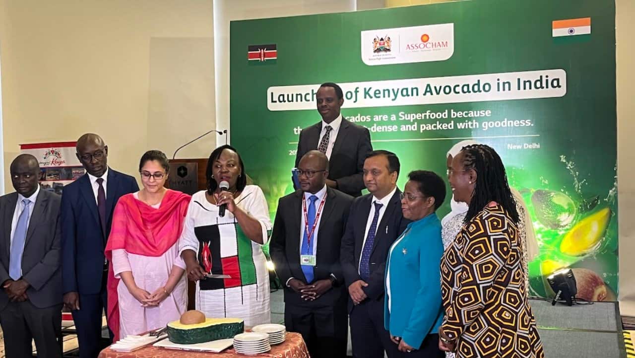 Kenya's High Commission in New Delhi celebrated the launch of its avocados in India with a cake made from the creamy fruit (Photo: Faizal Khan)