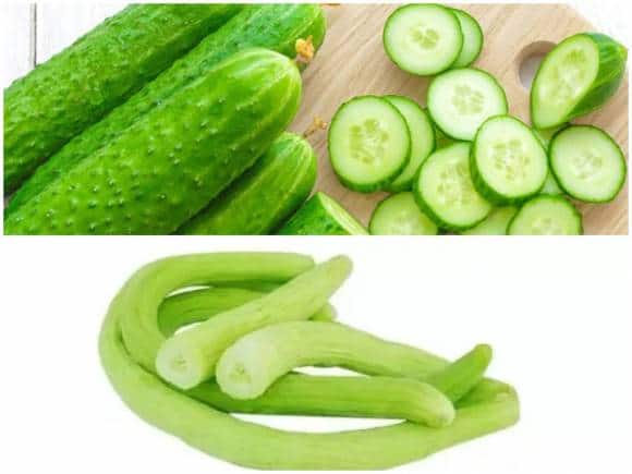 (Top) 'Kheera' or cucumber; (bottom) 'kakdi' or snake cucumber/Armenian cucumber. 