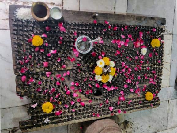 Lingarchan Puja