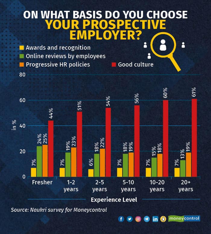On what basis do you choose your prospective employer