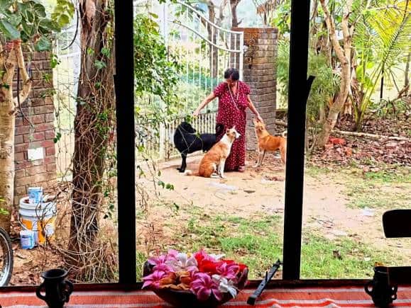 The canine residents of my house, (from left) Kutlet, Lady Mamlet and Gooblet with my mother. (Photo: Shamik Bag)