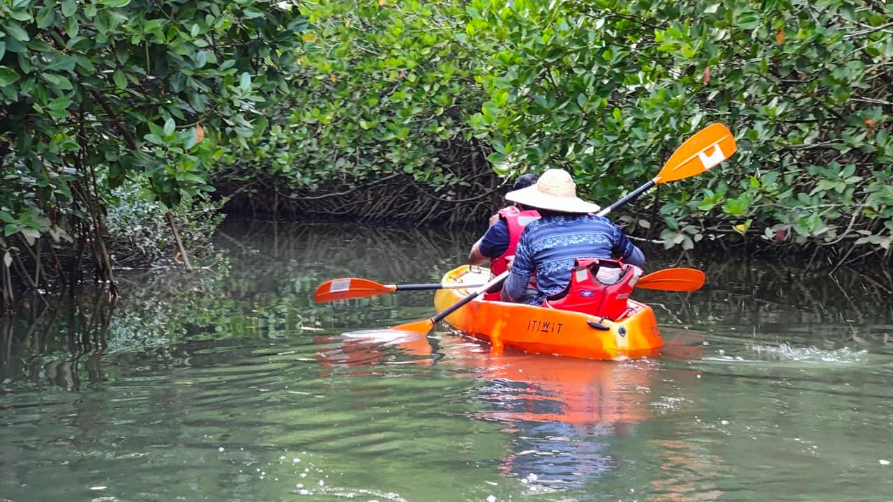 With a large mangrove forest cover, kayaking on the backwaters of the picturesque Seetha River in Saligrama is an experience quite unlike any other.