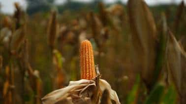 Farming can work so much better for the planet