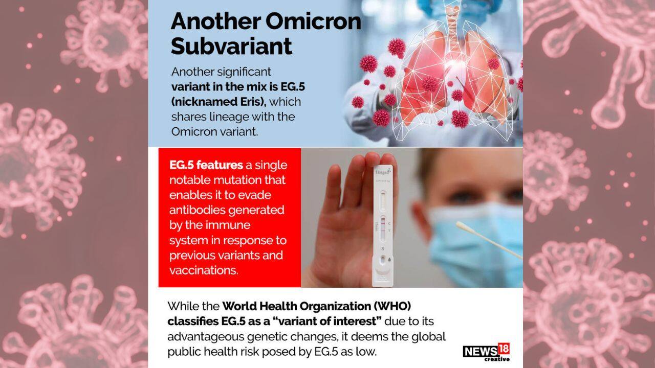 Another important variant in the mix is EG.5 (nicknamed Eris), which is related to the Omicron form. EG.5 has a single significant mutation that allows it to avoid antibodies produced by the immune system in response to prior variations and immunisations. (Image: NW18 Creative) 