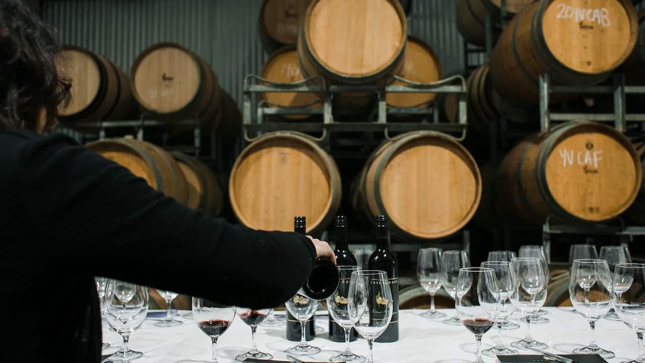 wine bottles and barrels
