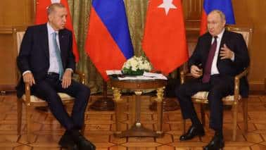 Erdogan’s Putin meeting was more about damage control than grain