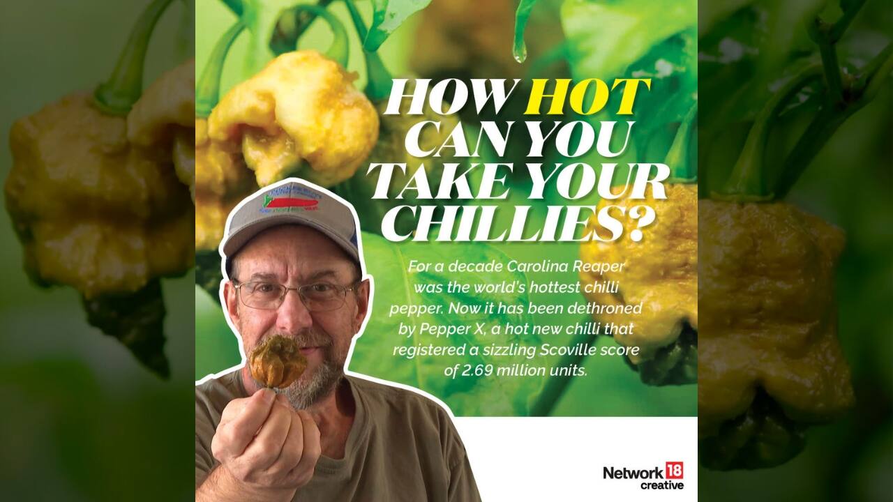 Pepperlicious Whole Dried Habanero Chile Pods - 1/2oz (~15 Pods) - World's Hottest