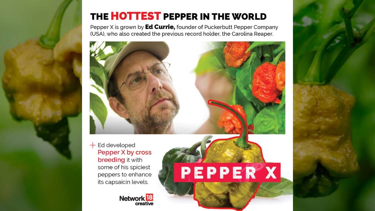 How Hot Is The Hottest Pepper In The World
