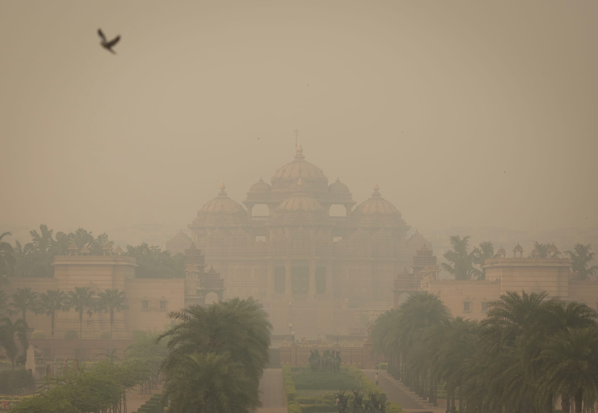 AQI woes: Delhi govt to use dust suppression tech to combat ‘poor’ air