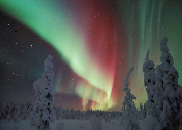 Northern Lights in Snowy Forest in Finland. (Photo: Wikimedia Commons)