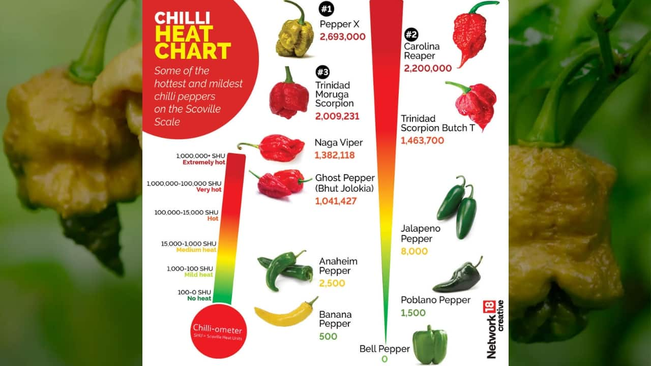 Meet Pepper X: Now The Spiciest Chilli In The World