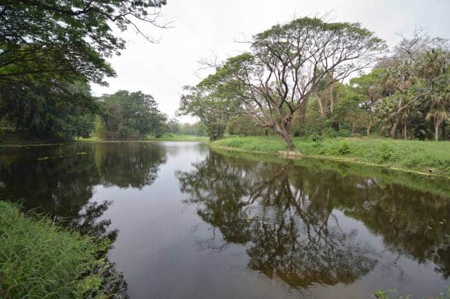 Acharya Jagadish Chandra Bose Indian Botanic Garden, Kolkata. (Photo: Wikimedia Commons)
