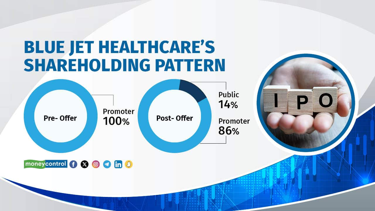 Blue Jet Healthcare IPO In 5 Charts